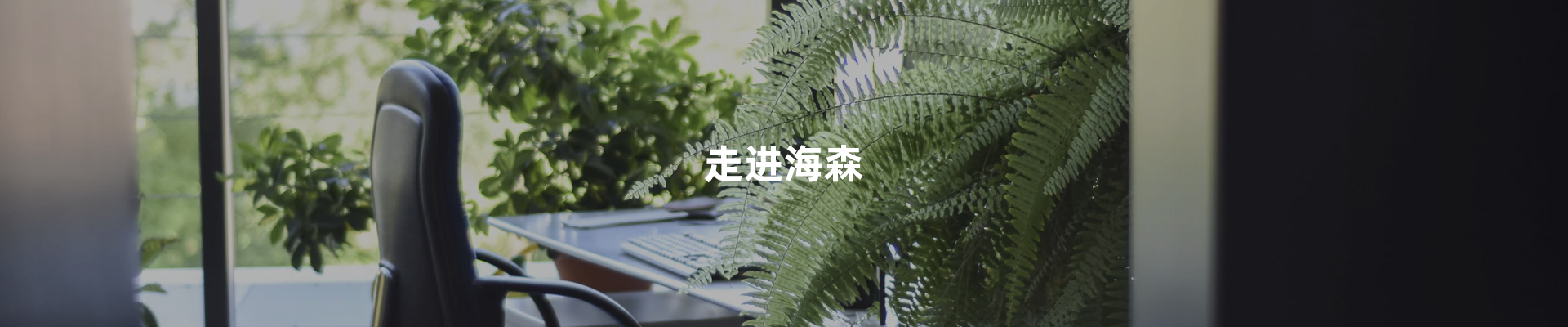 海森医管